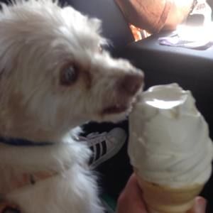 Meet your Posher, Skyler